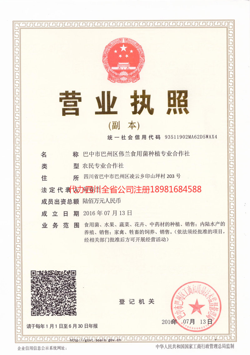 广西广西伟兰食用菌种植专业合作社